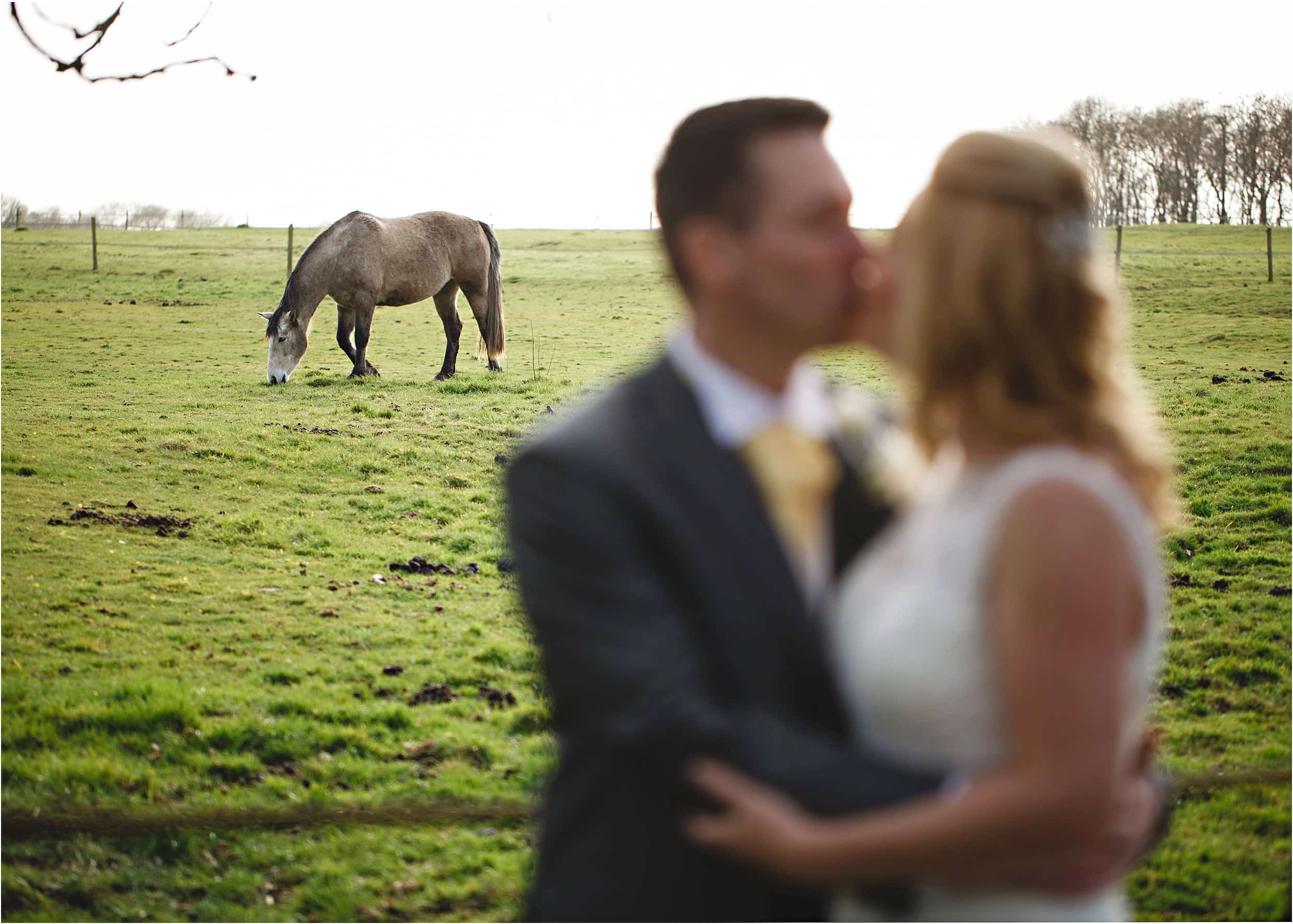 bride and groom kissing with a horse in the background