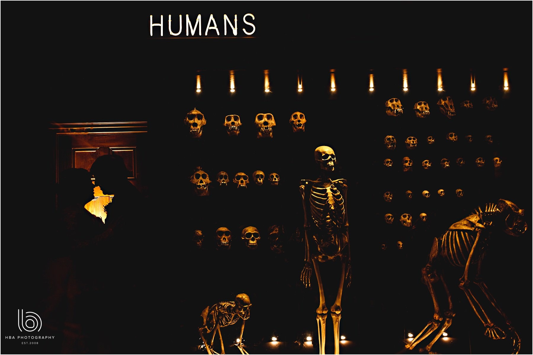 Manchester Museum exhibits